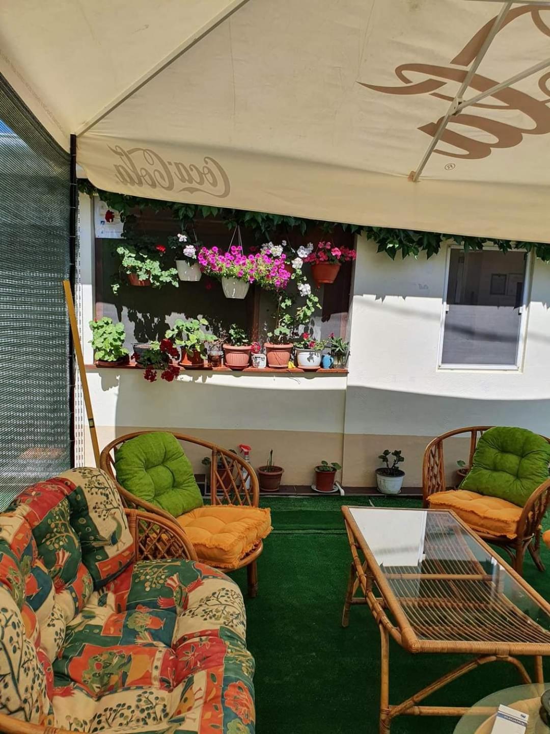 Vila Robert Hotel Schitu Ngoại thất bức ảnh
