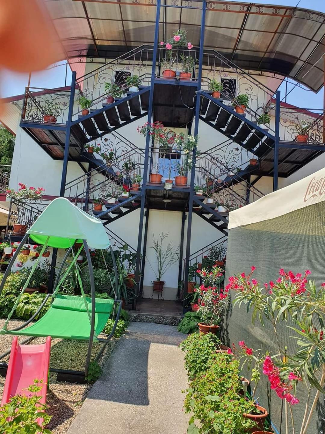 Vila Robert Hotel Schitu Ngoại thất bức ảnh