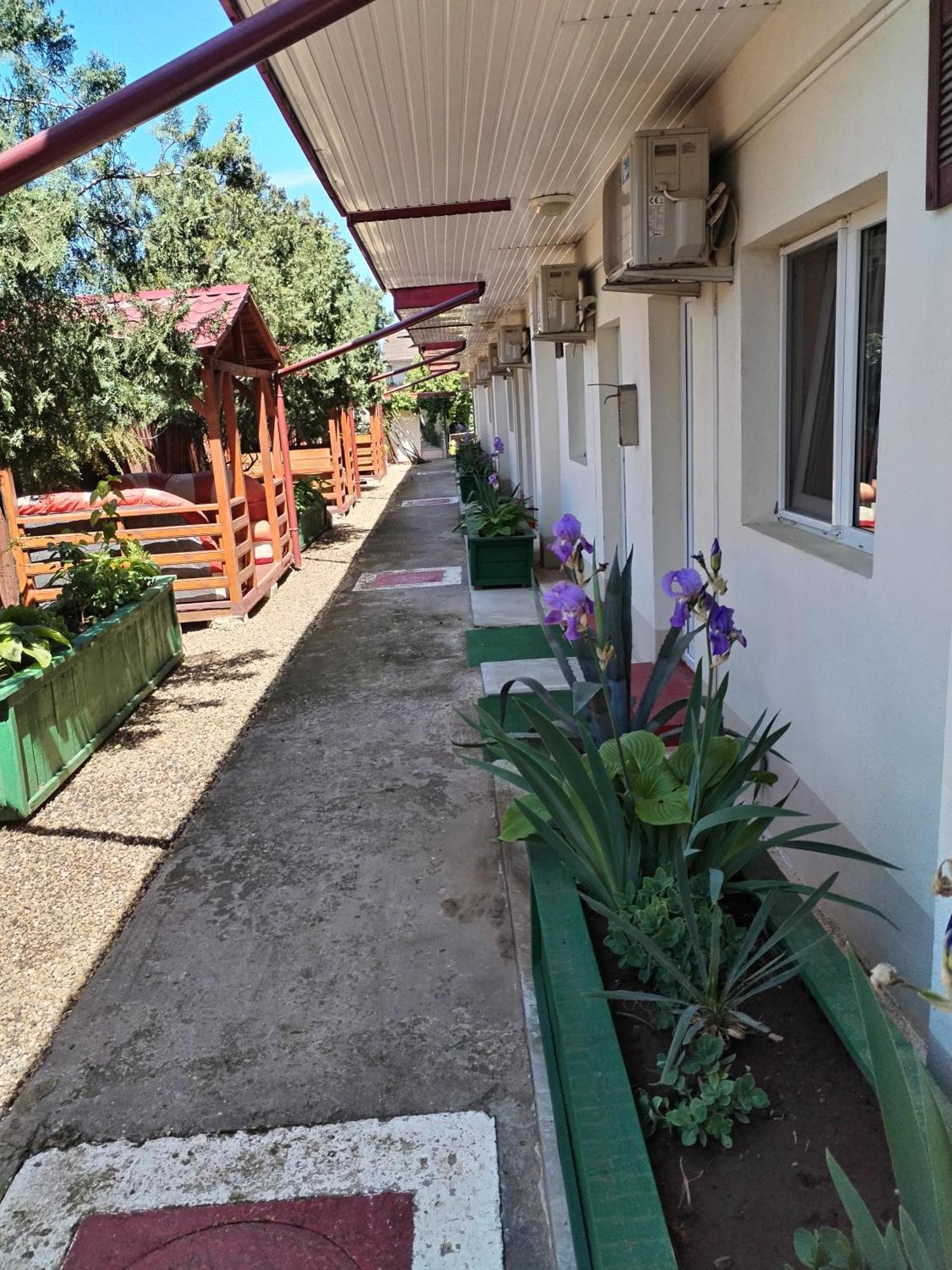 Vila Robert Hotel Schitu Ngoại thất bức ảnh